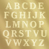 Letters of Alphabet engraved on brass plate in font used for Family Initial bell